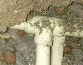 江门市测漏水多少钱