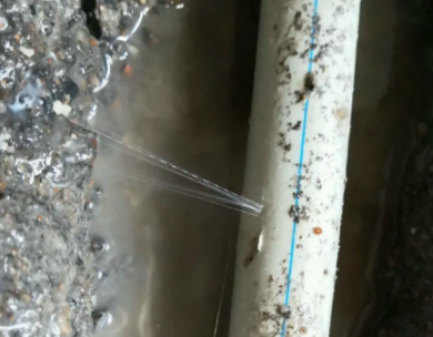 江门市测漏水哪家好