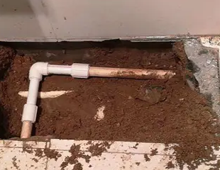 江门市测漏水哪家好