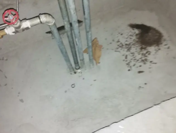 江门市卫生间测漏水价格明细