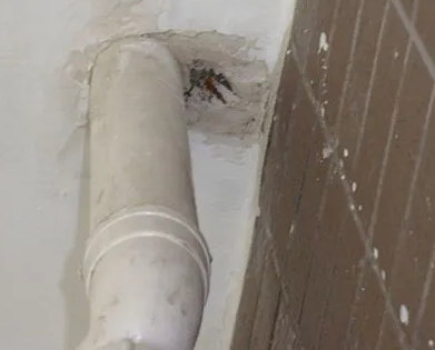 江门市漏水检测哪家好